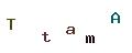 圖片型 CAPTCHA